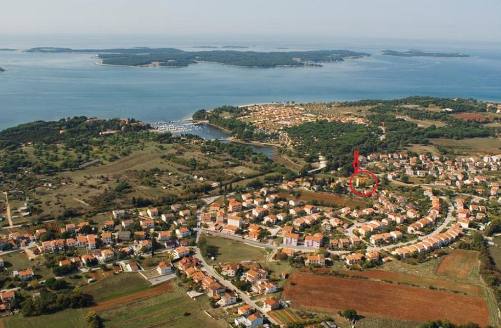 Apartments David By The Sea Fažana Esterno foto